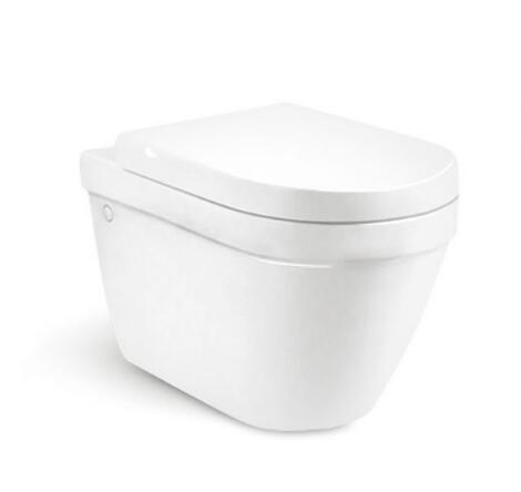 Wall Hung Toilet T8207